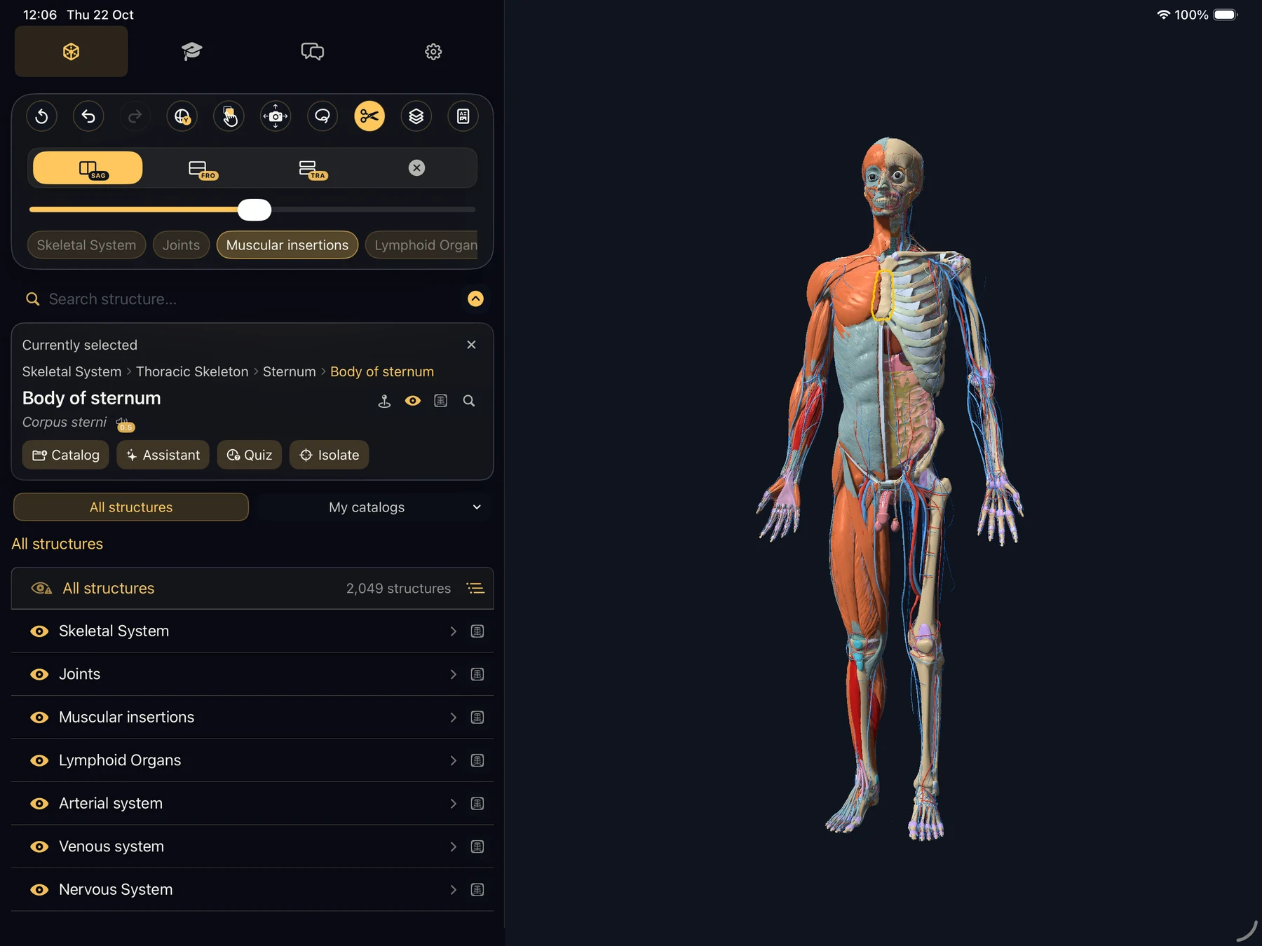 AnatomyVerse on iPad: layered body systems with the sternum selected