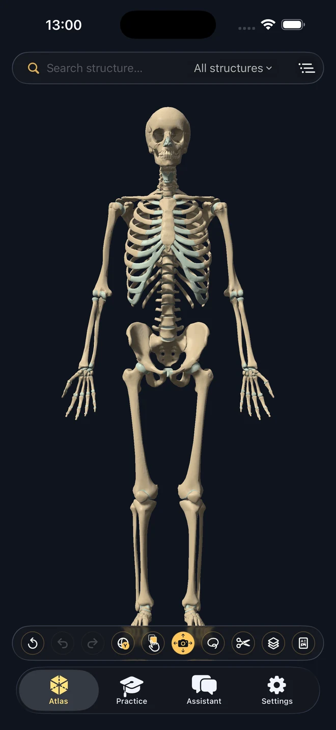 AnatomyVerse on iPhone: full skeleton in the interactive 3D atlas