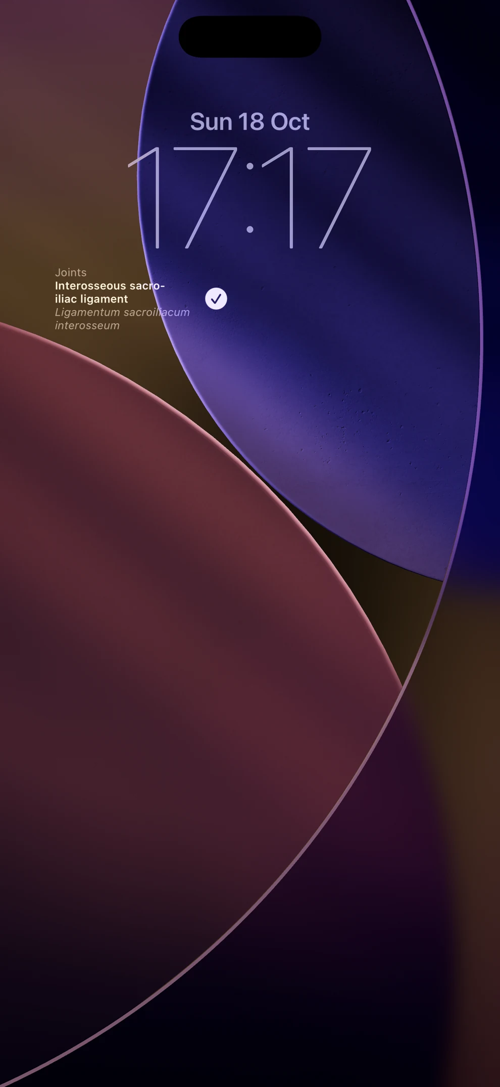 Anatomical terminology on the iPhone Lock Screen