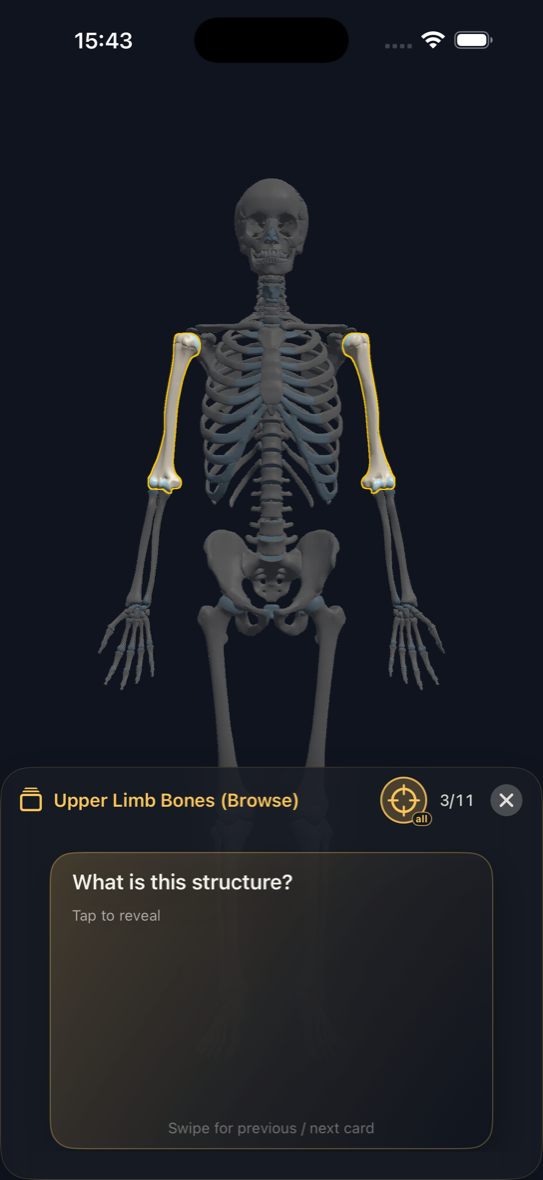 iPhone Practice browse flashcard over a highlighted skeleton in 3D
