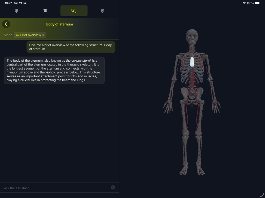 iPad: AI Tutor chat about the body of the sternum beside the highlighted skeleton