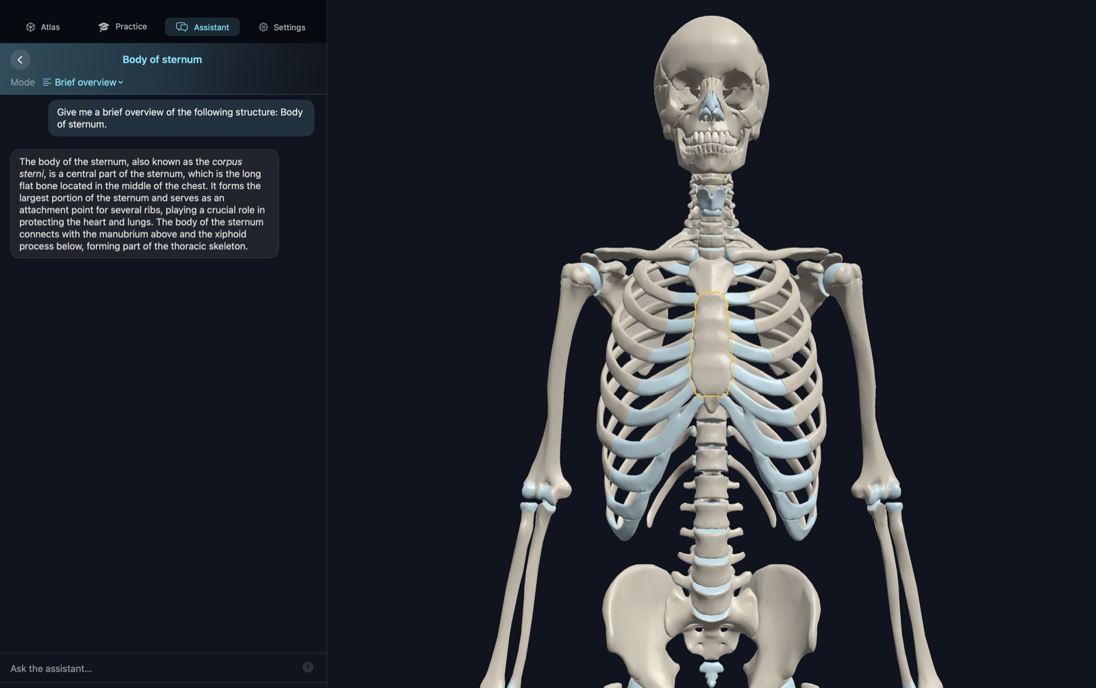 Mac AI Assistant explaining the body of sternum with highlighted bone in 3D