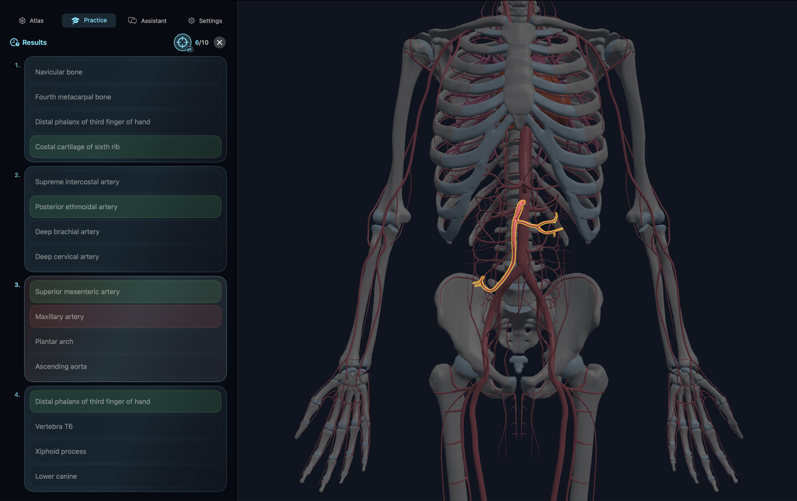 Mac Practice quiz results with answer review beside the 3D model